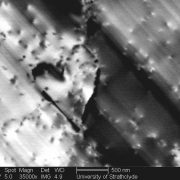 image-for-nanotox-contest